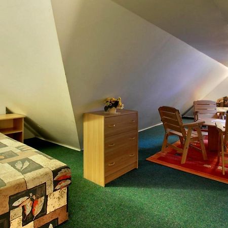 Ski - Apartment Рокитнице над Ийзероу Екстериор снимка